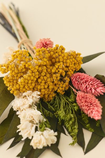 Andaluca Mini Yarrow & Larkspur Dried Bouquet