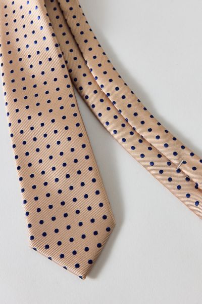 Polka Dot Neck Tie