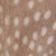 Doe Print