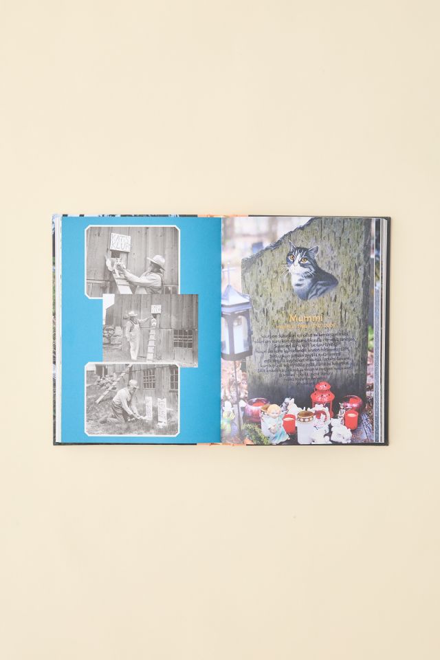 Faithful Unto Death: Pet Cemeteries, Animal Graves, And Eternal Devotion By Paul Koudounaris #3