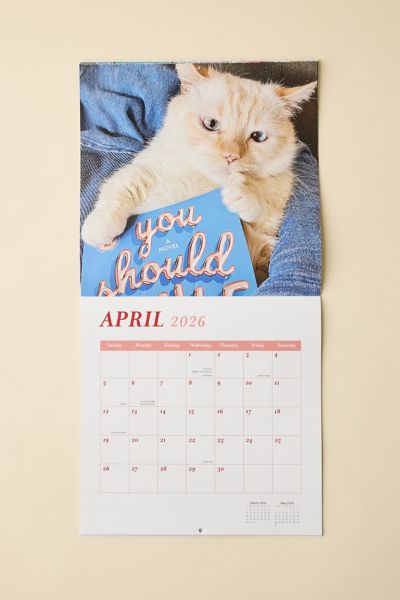 Cats & Books 2026 Wall Calendar
