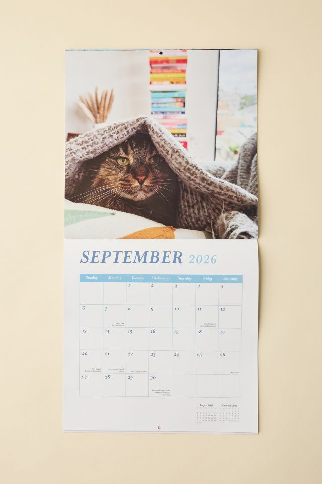 Cats & Books 2026 Wall Calendar #4