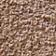 Warm Sand