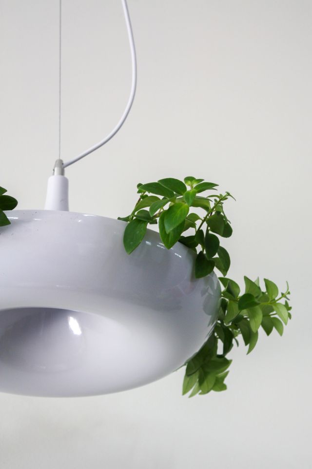 Dupe Planter Pendant Lamp #1