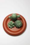 Friends Peephole Frame Succulent Planter