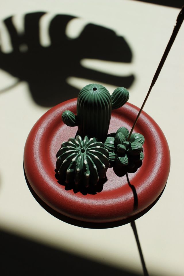 Acquired Taste Plant Lover Bundle Incense Holder Set #3
