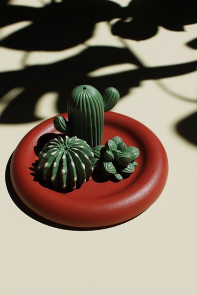 Acquired Taste Plant Lover Bundle Incense Holder Set