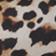 Leopard Print