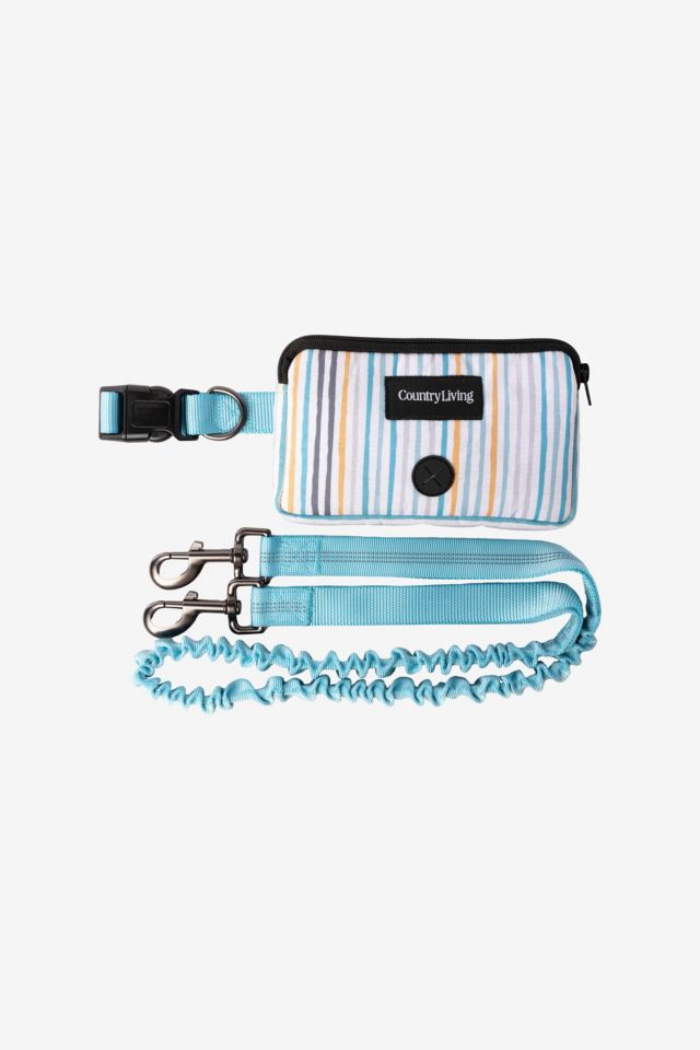 Silver Paw Hands-Free Dog Leash #1