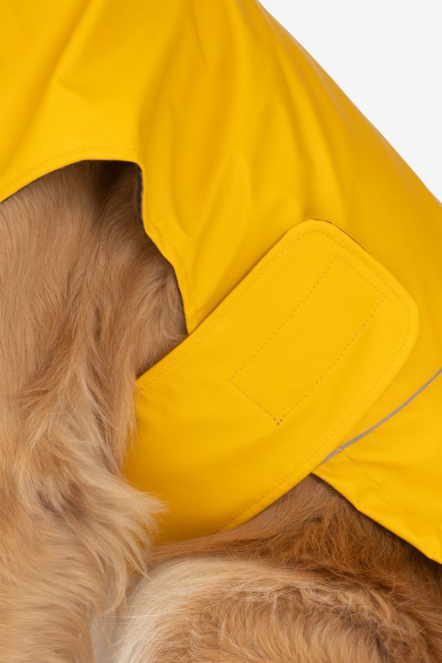 Silver Paw Aden 2.0 Pet Raincoat #3