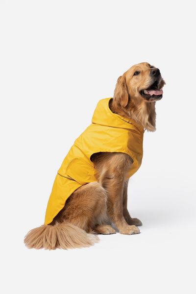 Silver Paw Aden 2.0 Pet Raincoat
