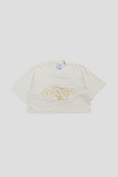 Frankie Collective Rework Niagara Falls Crop Tee