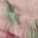 Painterly Abstract
