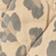 Brown Leopard