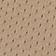 Parachute Beige