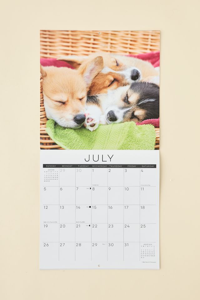 Dog Nap 2026 Wall Calendar #3