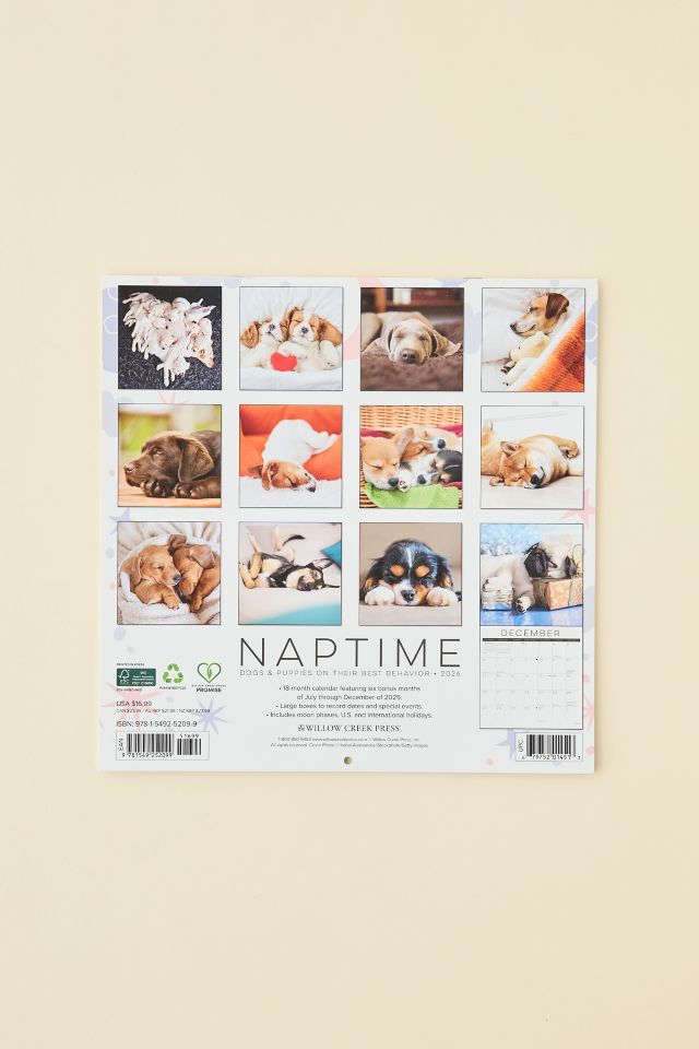 Dog Nap 2026 Wall Calendar #4