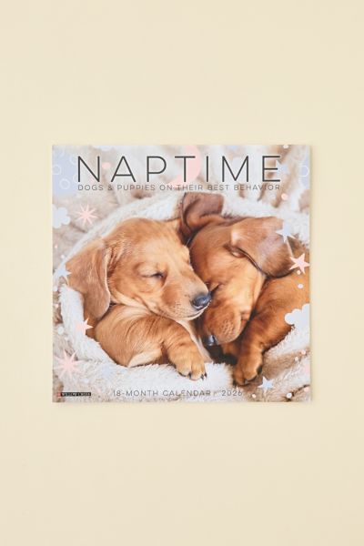 Dog Nap 2026 Wall Calendar