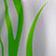 White/Green Glow/Black