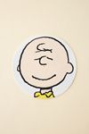 Peanuts Snoopy Charlie Brown Portraits Turntable Slipmat