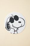 Peanuts Snoopy Charlie Brown Portraits Turntable Slipmat