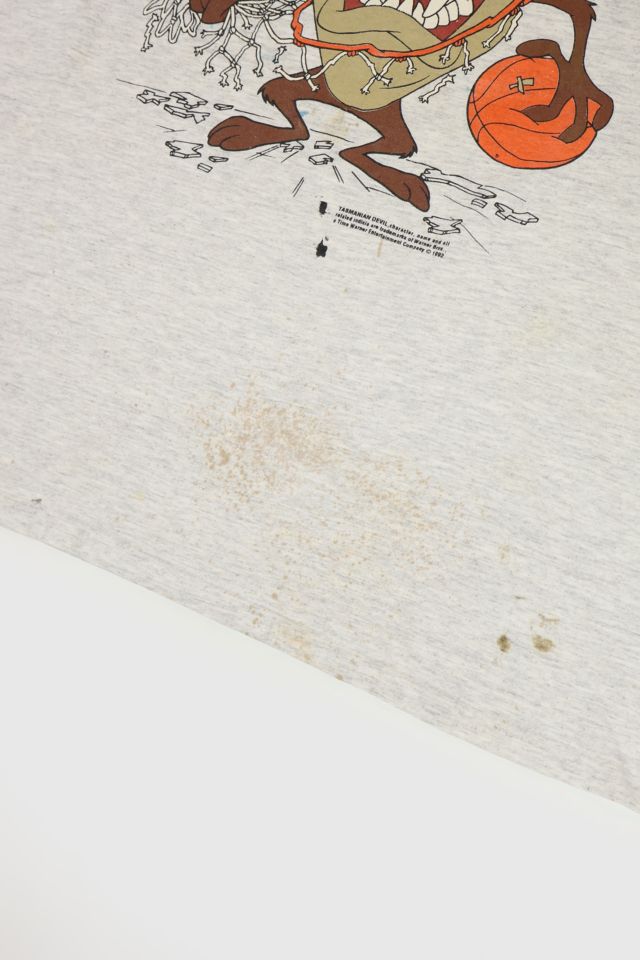 Vintage Distressed Taz Crash The Boards Tee #3