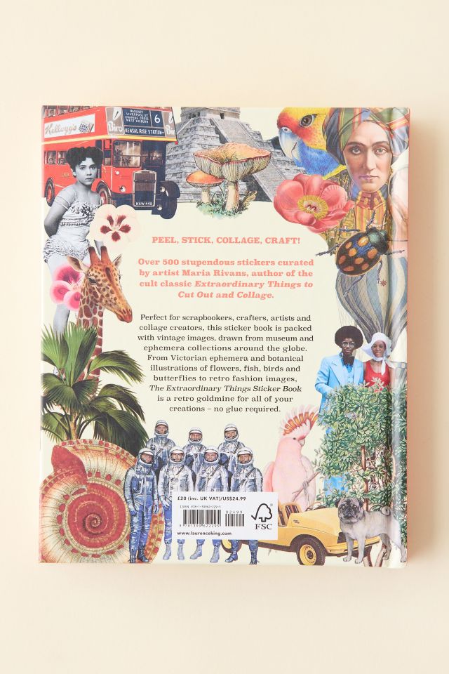 Extraordinary Things Sticker Book By Maria Rivans #5