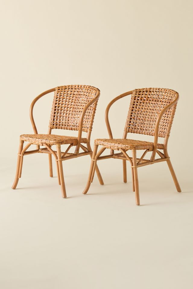 Hayes Rattan Dining Chair Set #1