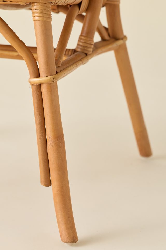 Hayes Rattan Dining Chair Set #5