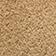 Maple Suede