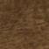 Tanners brown