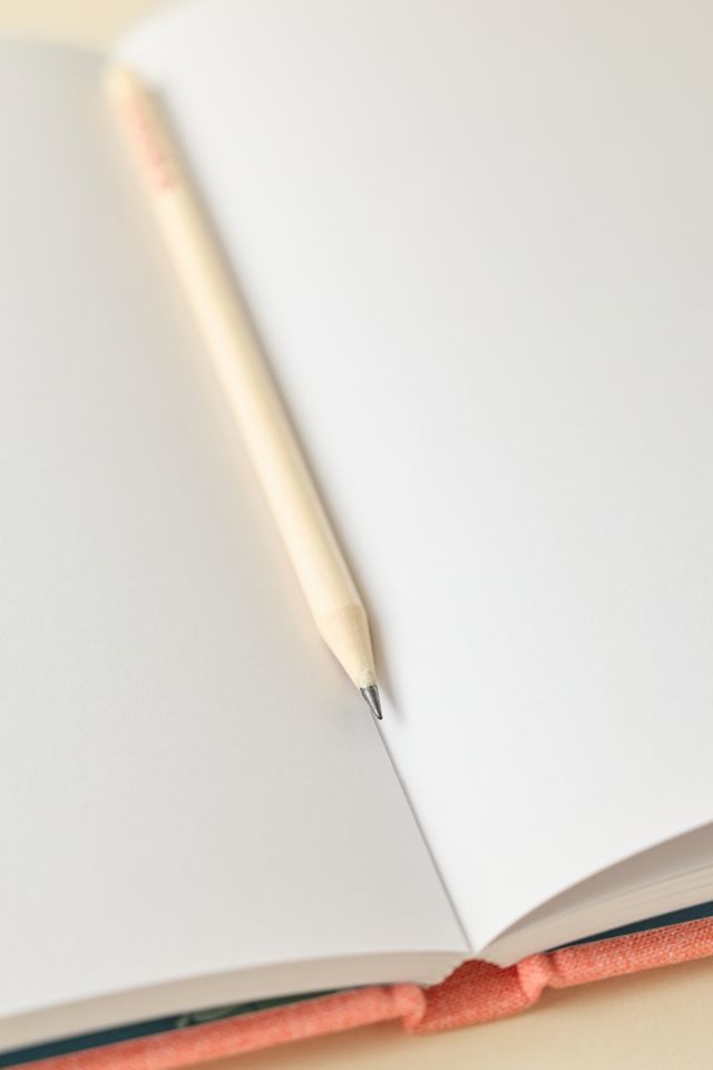 Studio Ghibli Ponyo Sketchbook #1