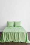 Bed Threads Organic Cotton Percale Square Pillowcase Set
