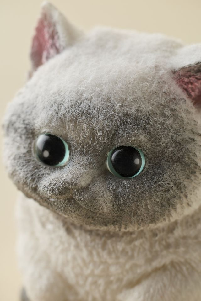 Mega Squishy Kitty #4
