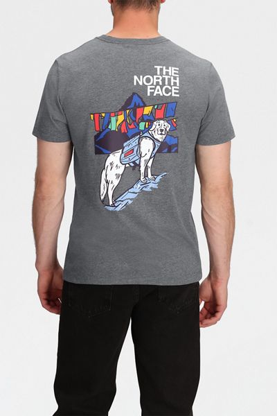 The North Face Sunlit Summit Graphic Tee