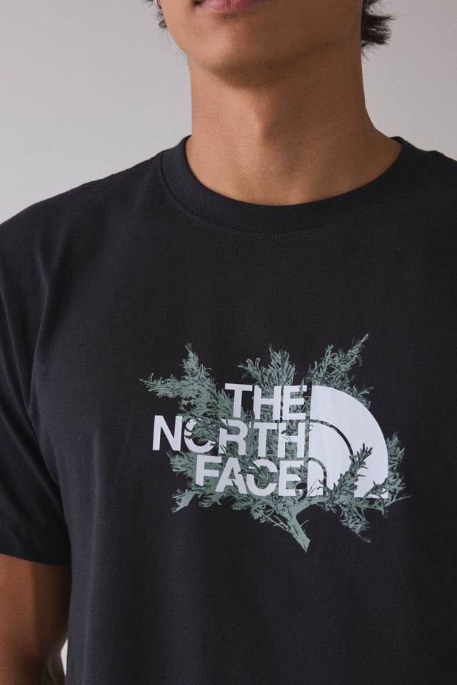 The North Face Meadow Mist Graphic Tee #1