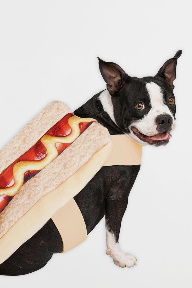 Hot Dawg Pup Dog Pet Costume #1