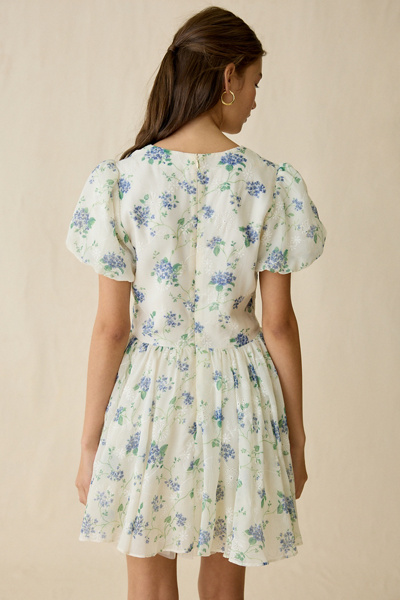 ASTR The Label Sommer Floral Puff Sleeve Mini Dress