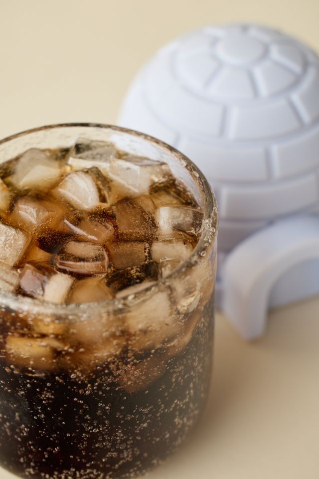 Igloo Mini Ice Mold Set #1