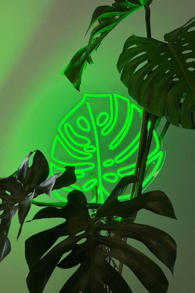 Echo Neon Monstera Leaf Neon Sign #1