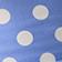 Blue + White Polka Dot