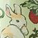 Strawberry Bunny