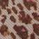 Ditsy Animal Print