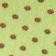 Citrus Pin Dot