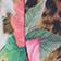Tropical Multi