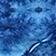 Blue Multi
