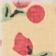 Pays des cerises
