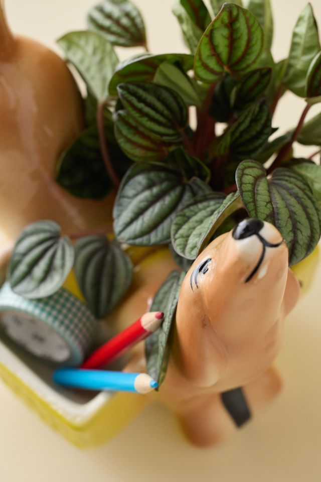 Dog Shaped Two-Section Ceramic Planter #2