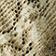 Snake Print