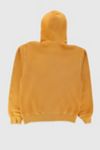 Stussy Rasta Lion Zip Hoodie Pigment Dyed